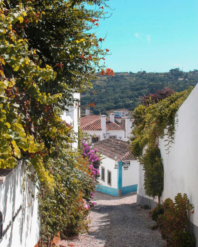 Lisbon Day Trips